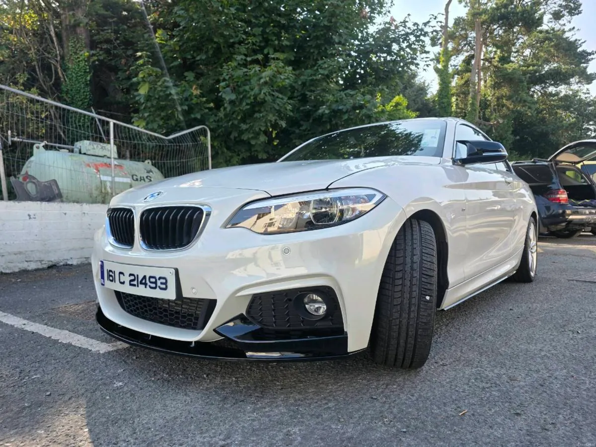 BMW 2 SERIES COUPE  M-Sport 2.0d Manual - Image 4