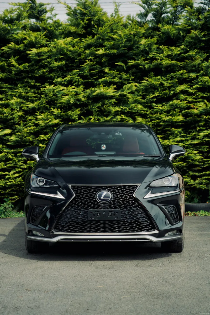 Lexus NX300H F Sport-Full History - Image 2