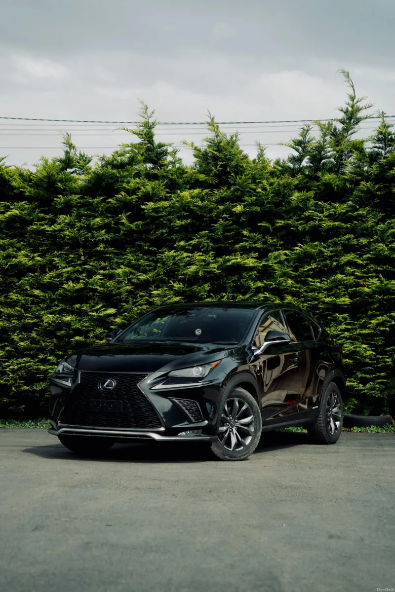Lexus NX300H F Sport-Full History - Image 1