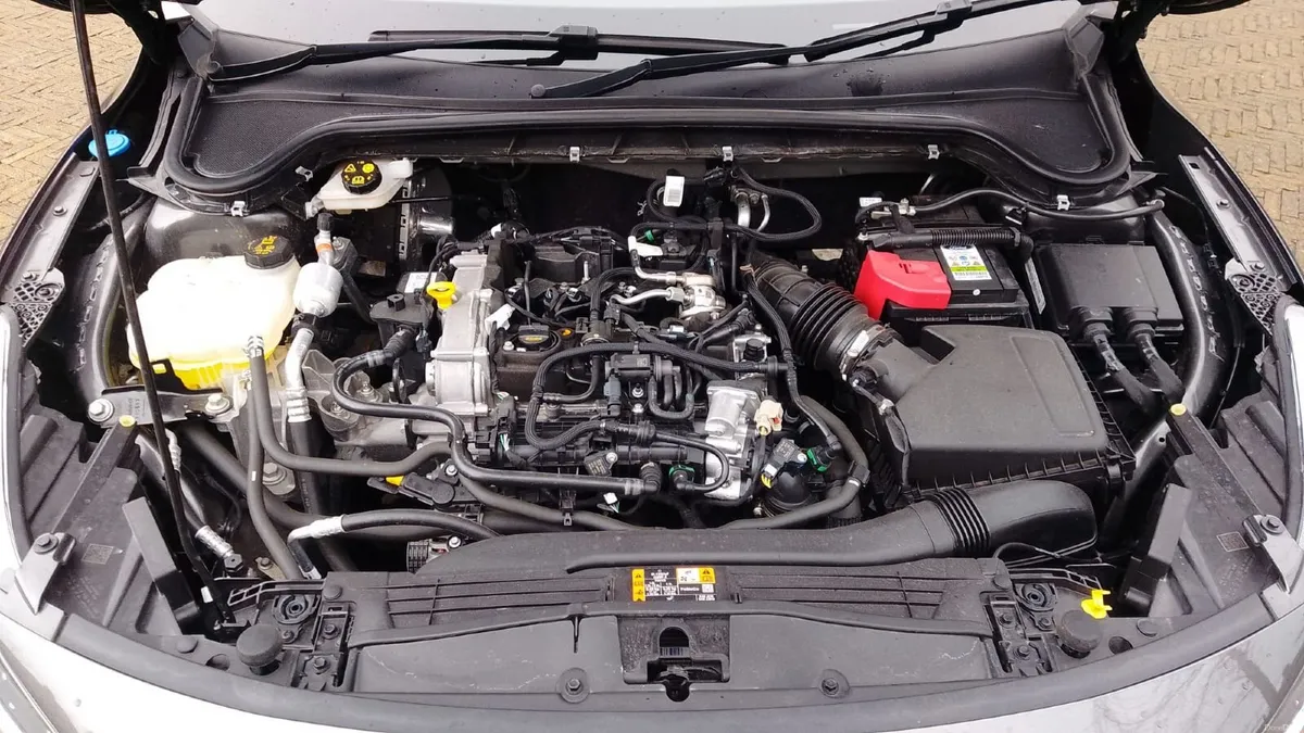 Ford Focus 2024 - Image 4
