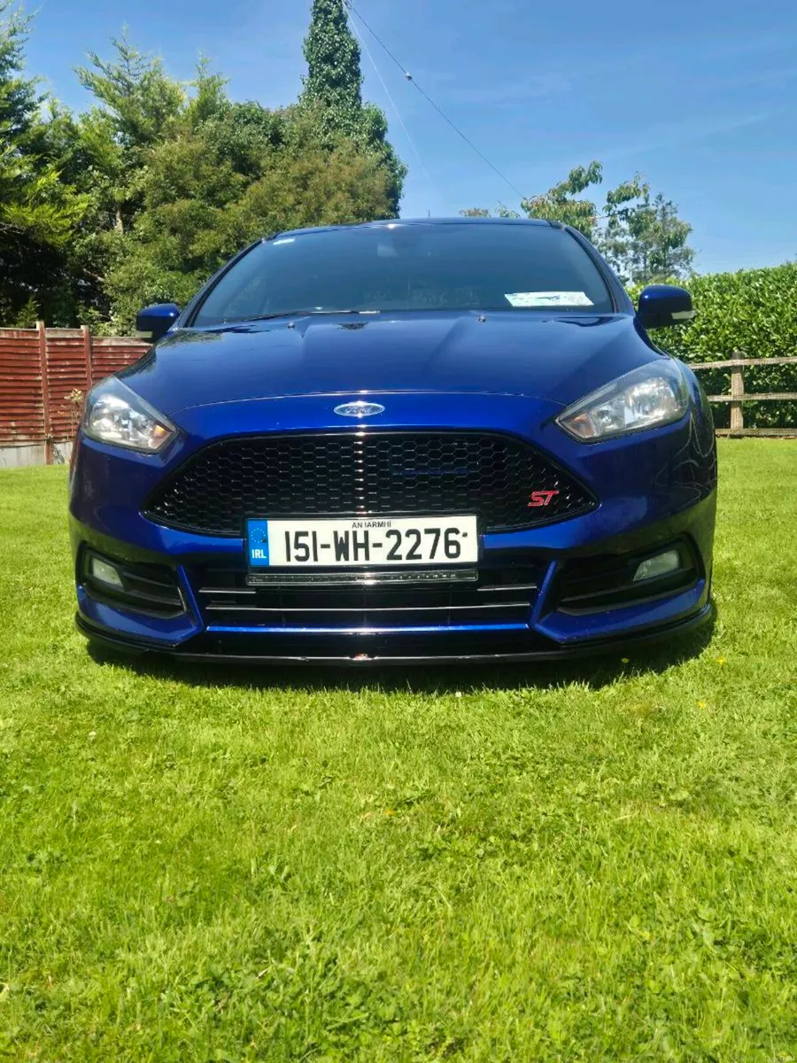 St focus - Image 2