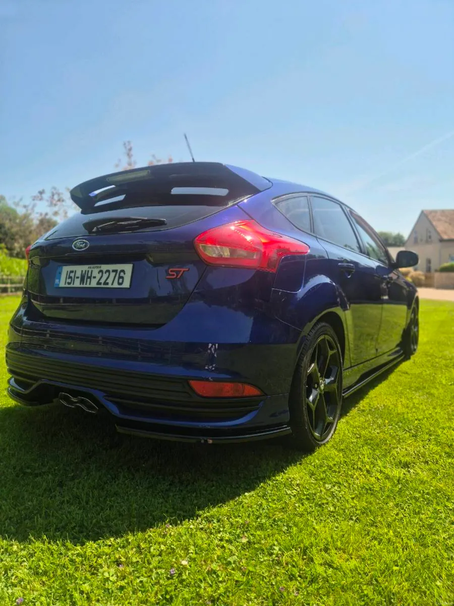 St focus - Image 5
