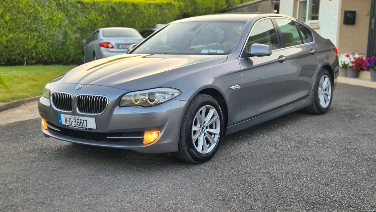 Bmw 520d SE (automatic) - Image 2
