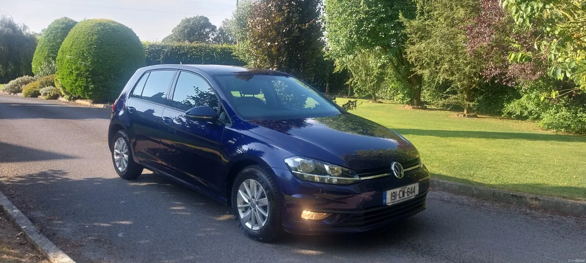 2019 Volkswagen Golf 1.6 Tdi 115 Bhp - Image 1
