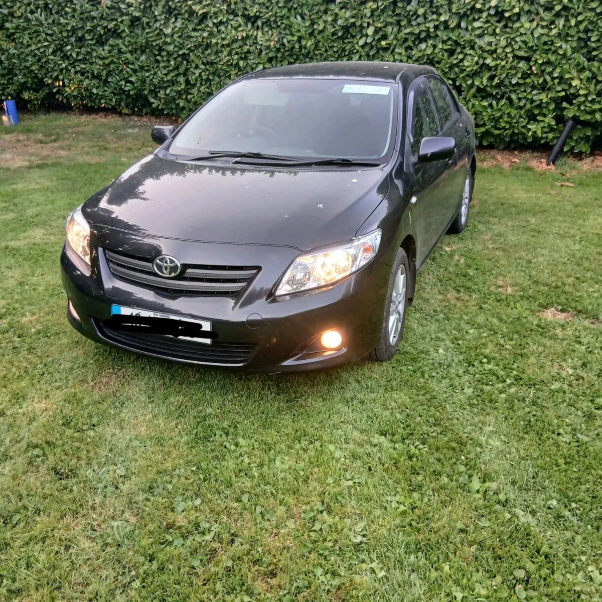 Toyota Corolla - Image 2