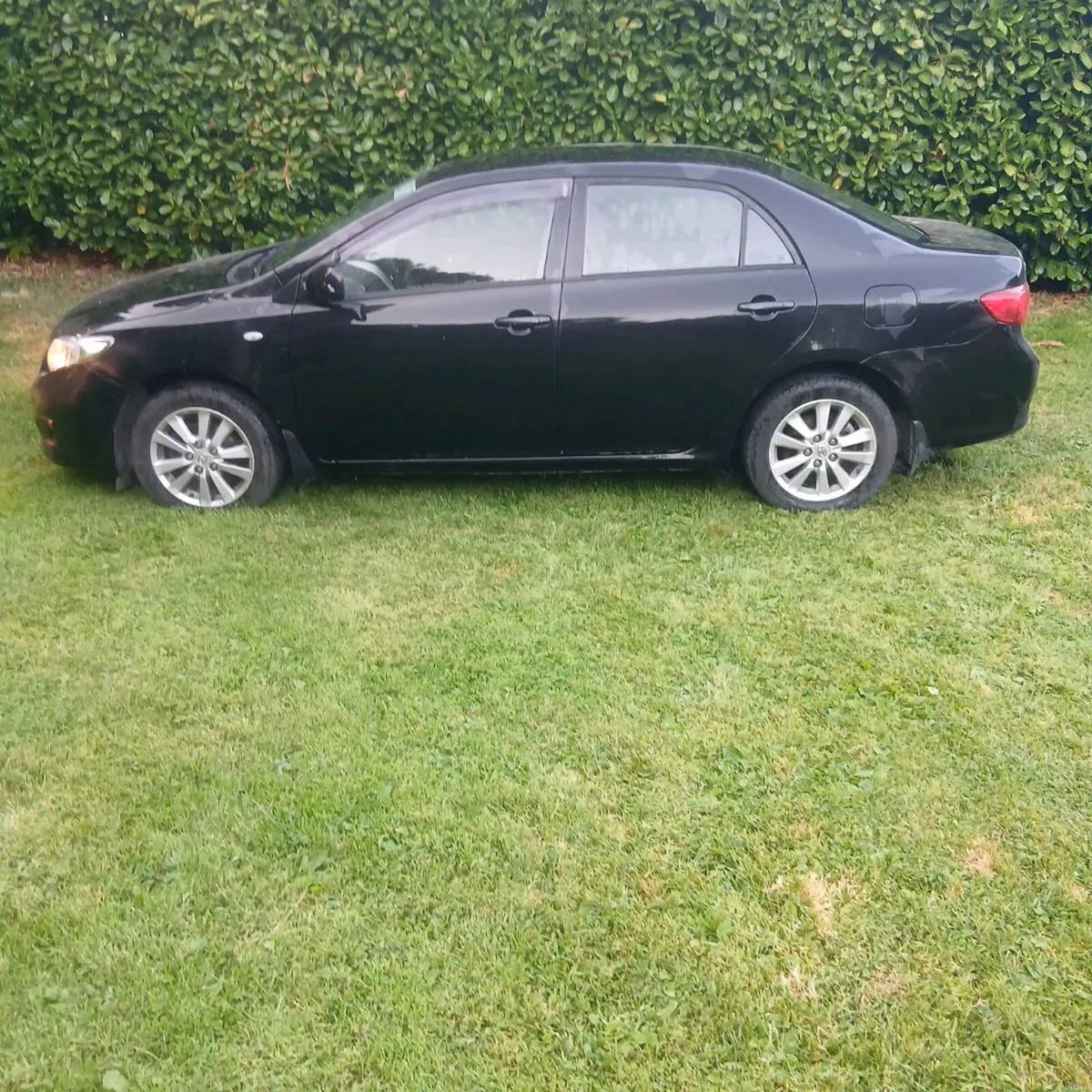 Toyota Corolla - Image 5