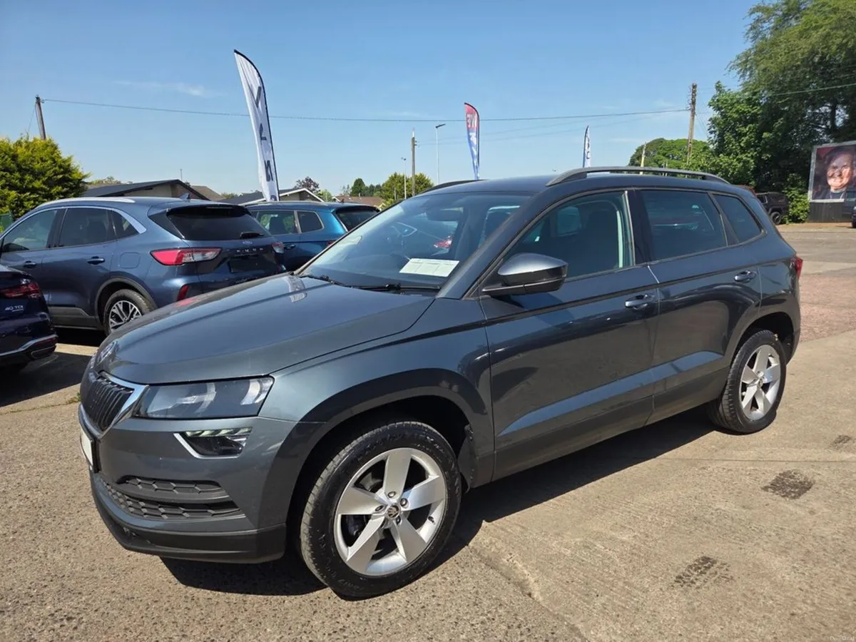 Skoda Karoq SE TDI DSG - Image 6