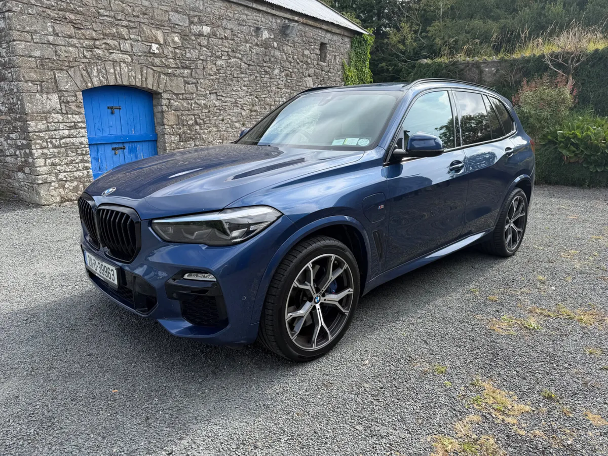 2021 BMW X5 M Sport Pro 45E XDrive 5 Dr €47950 - Image 4