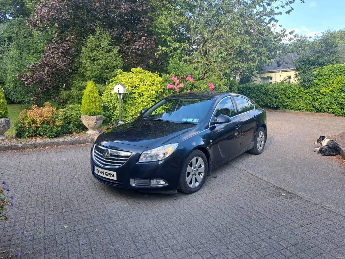 Insignia - Image 4