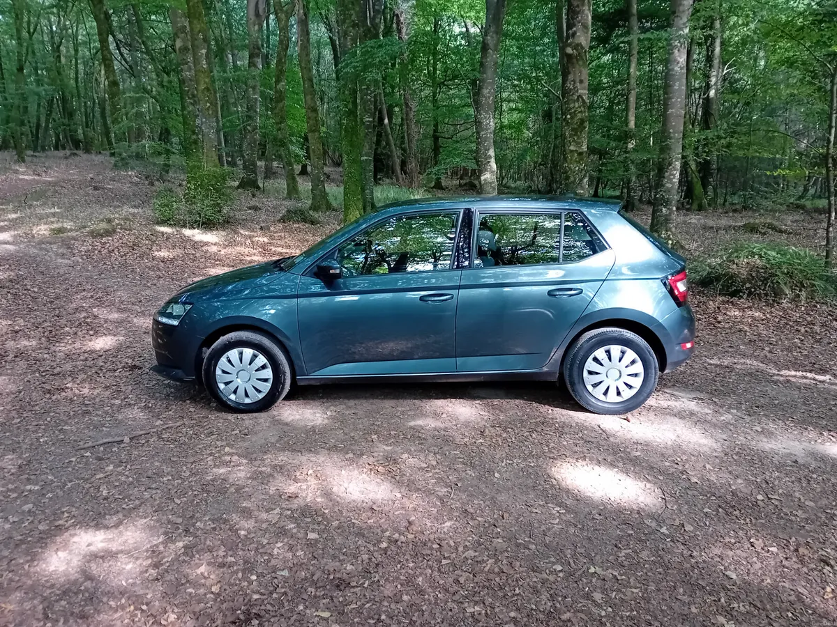 191 SKODA FABIA  1.0i ACTIVE 67 KLMS 5 DOOR - Image 4