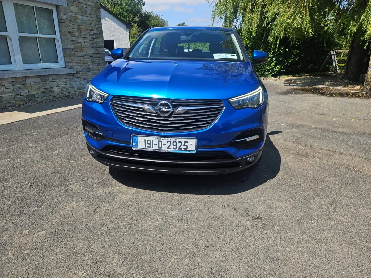 2019 Opel Grandland X 1.2 SC - ONE OWNER - LOW KMS - Image 6