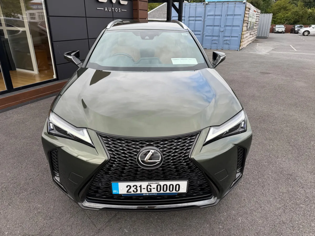 UX250h hybrid - F Sport - Rare Car - Image 6