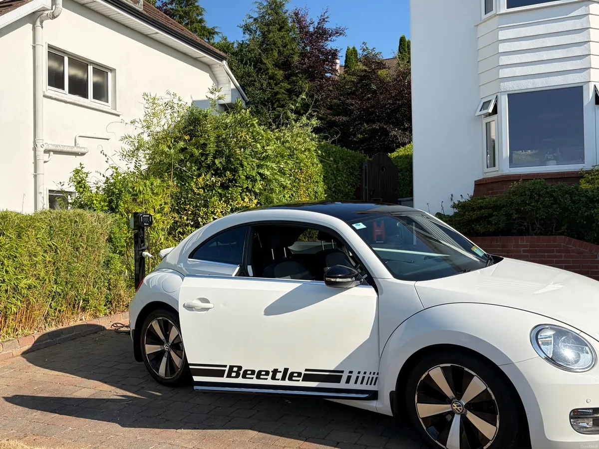 Volkswagen Beetle - Image 3