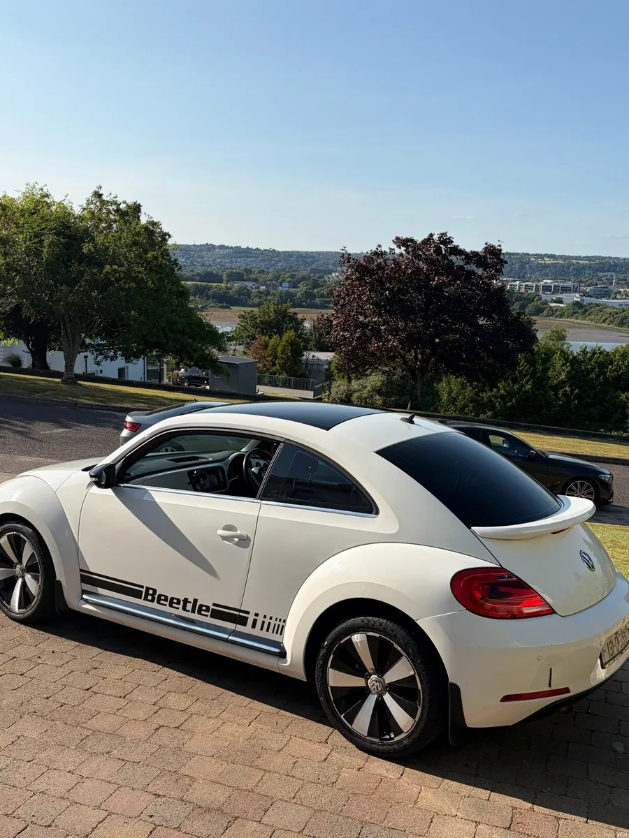 Volkswagen Beetle - Image 4