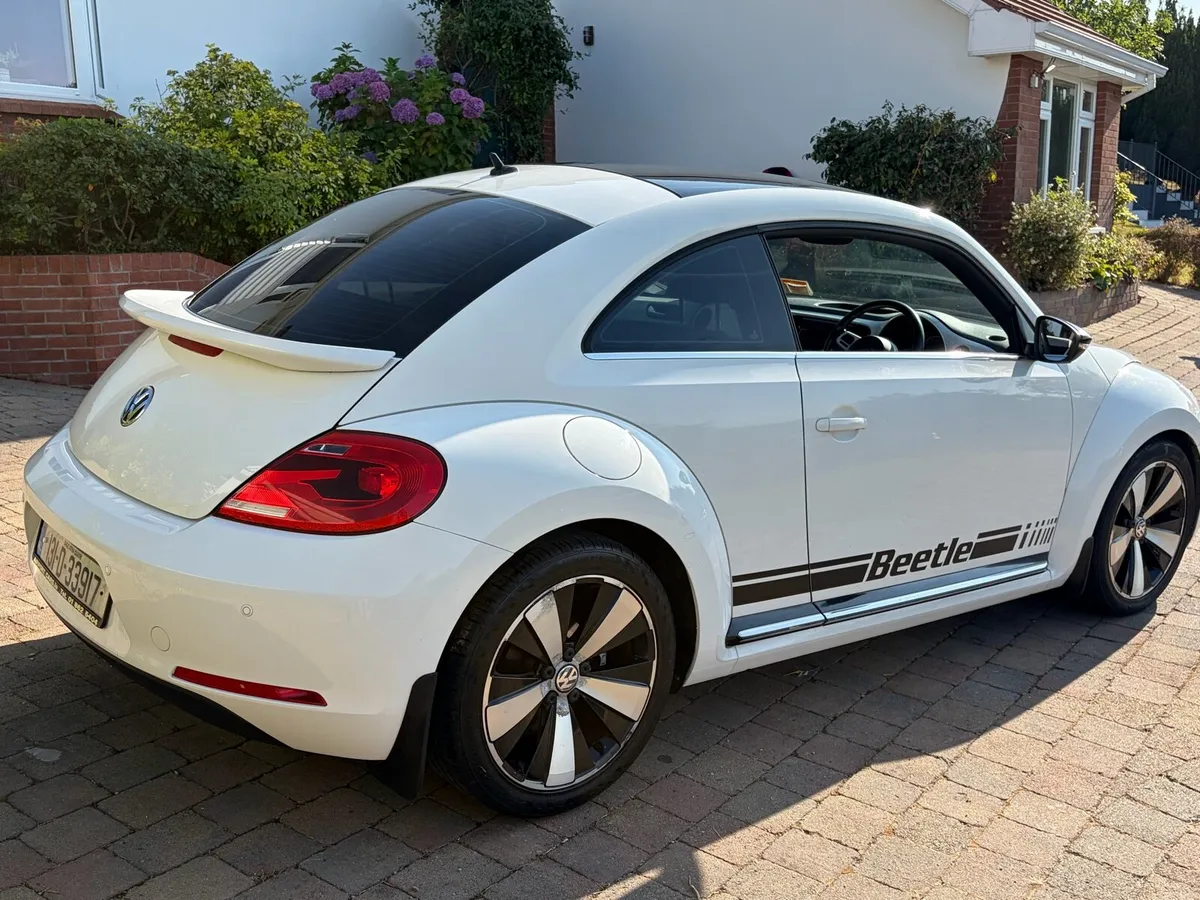 Volkswagen Beetle - Image 1