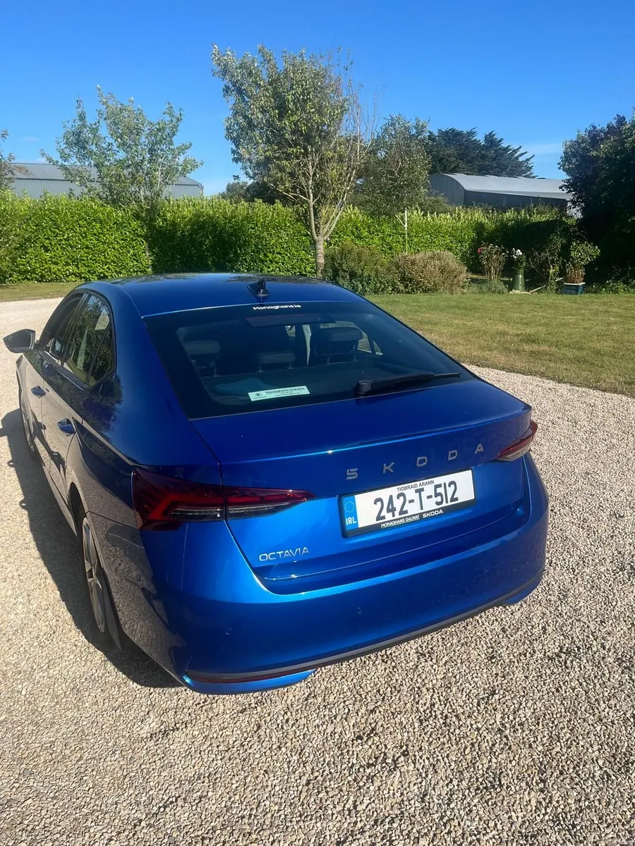 Skoda Octavia 2024 - Image 2
