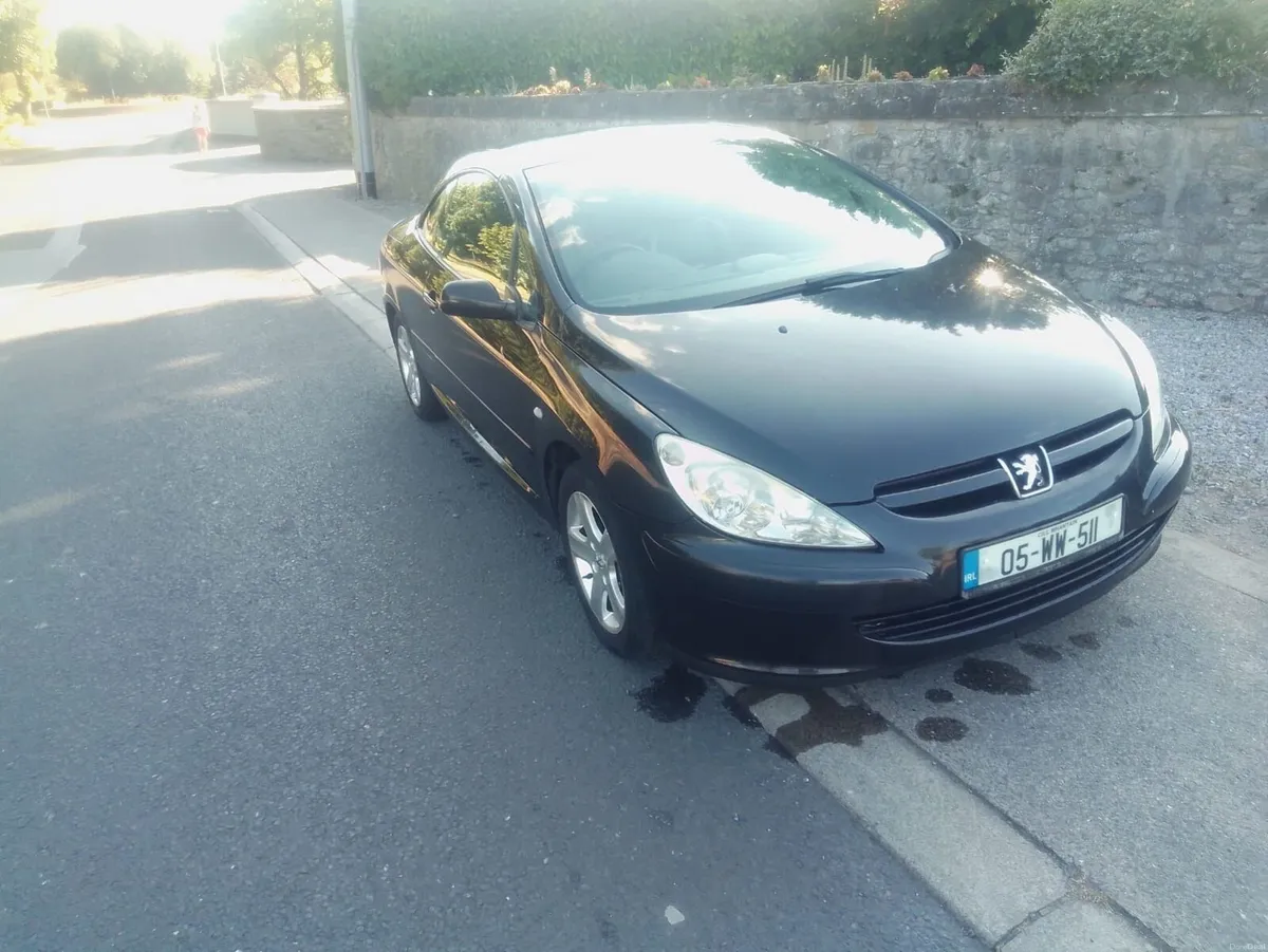 Peugeot 307CC - Image 5