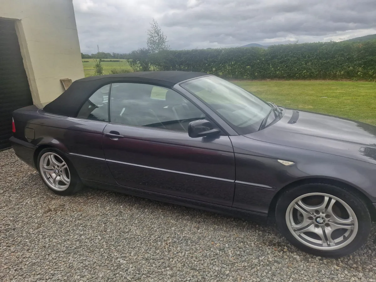 BMW 318ci convertible - Image 2