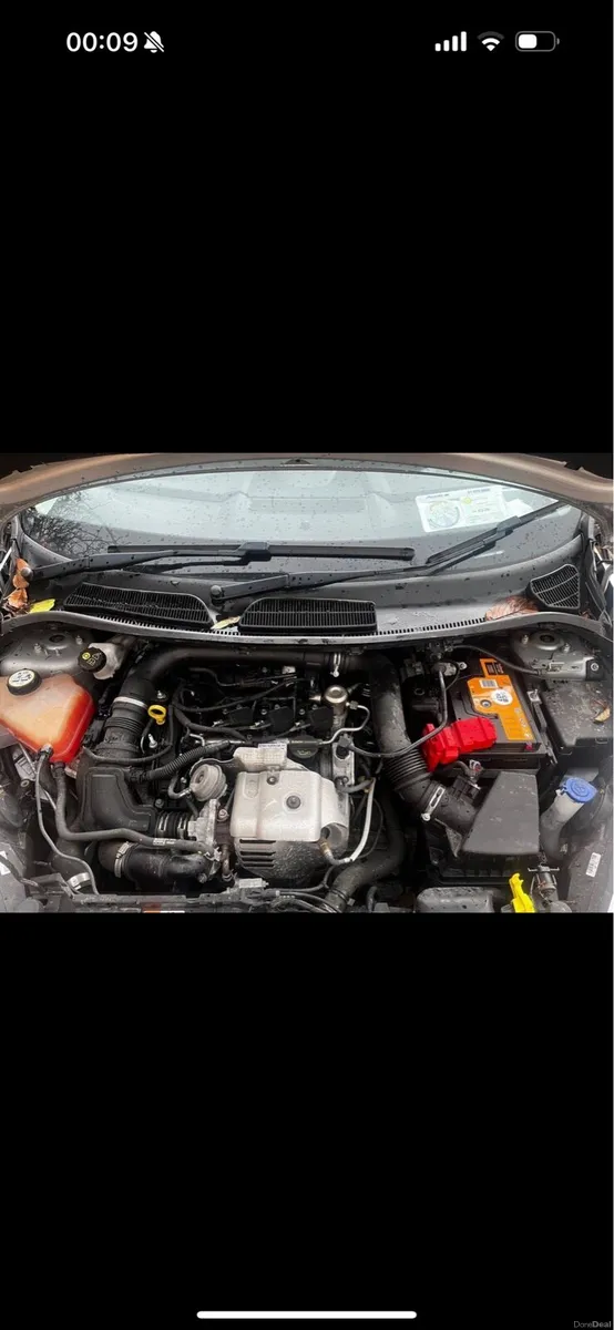 Ford fiesta - Image 6