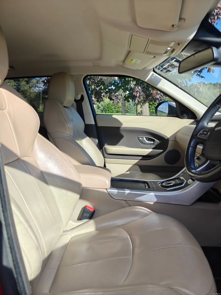 Image 3 of 15