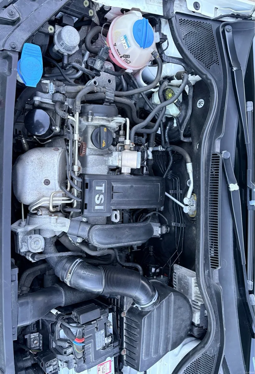 Image 4 of 17