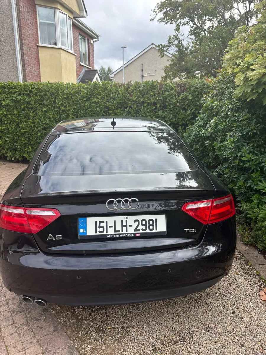Image 5 of 14