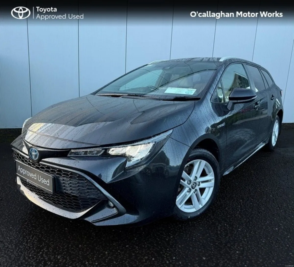 Image 2 of 12