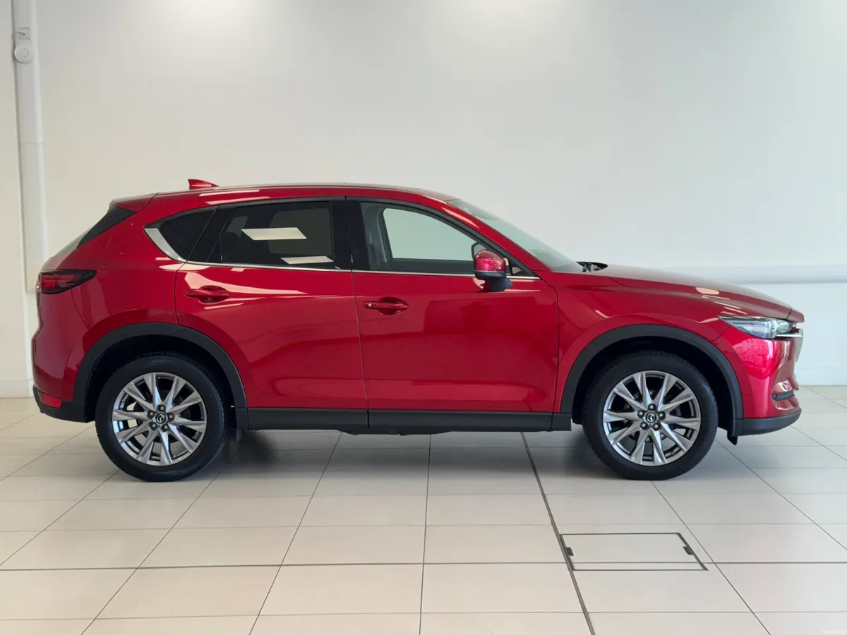 Image 3 of 17