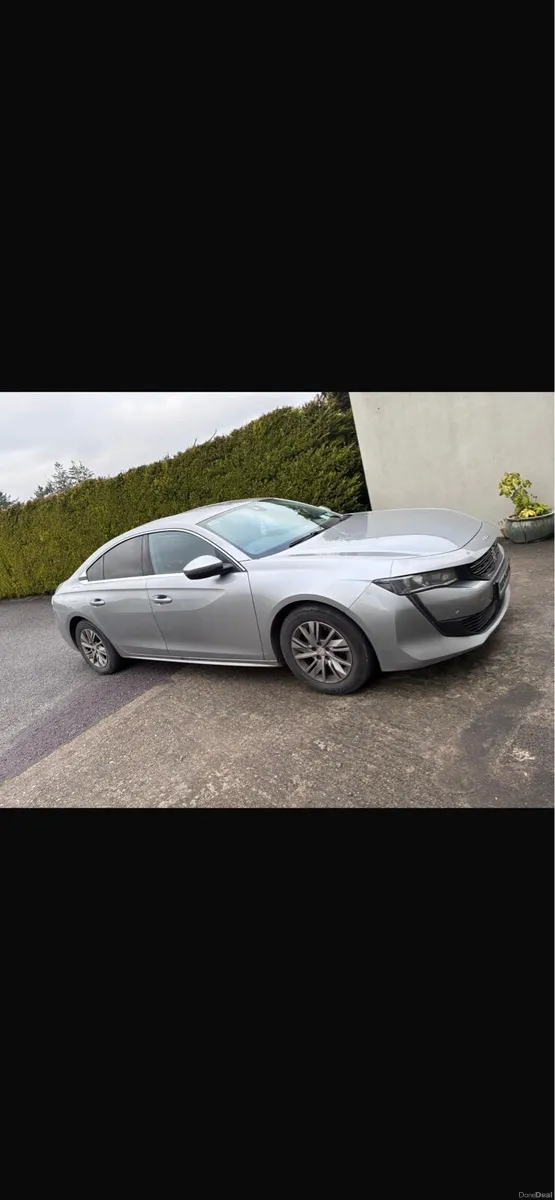 Image 1 of 12