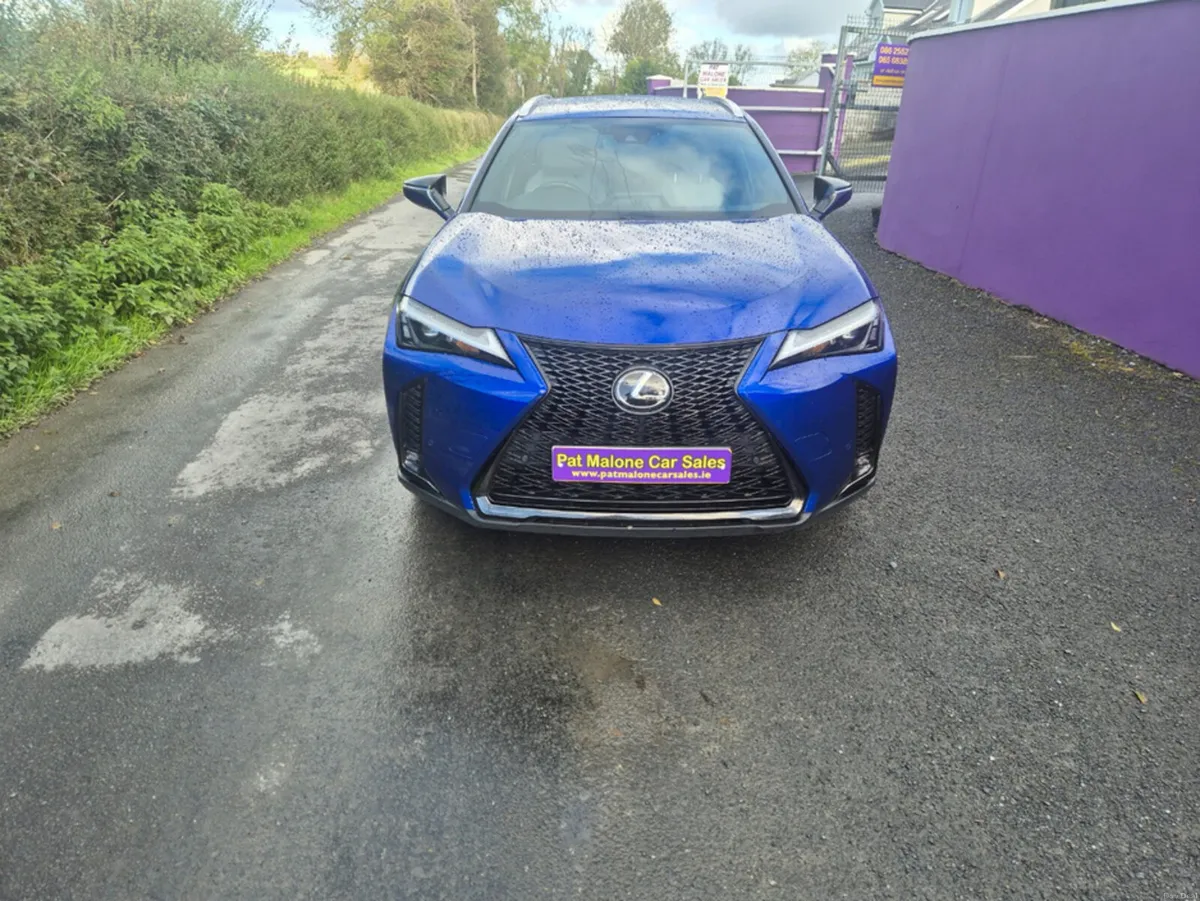 Image 2 of 20