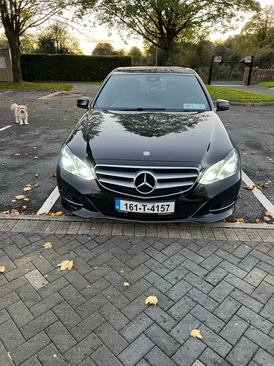 Image 2 of 9