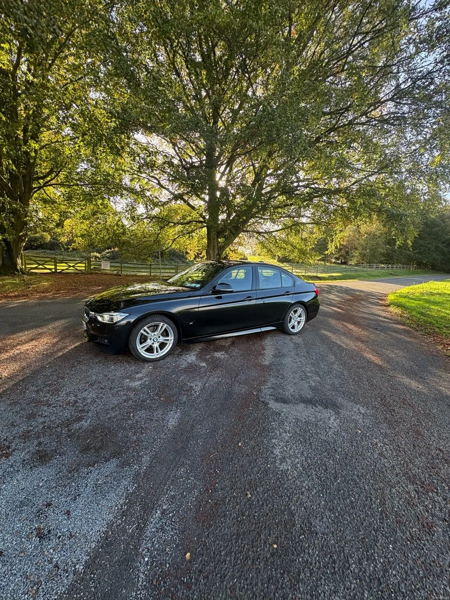 Image 3 of 15