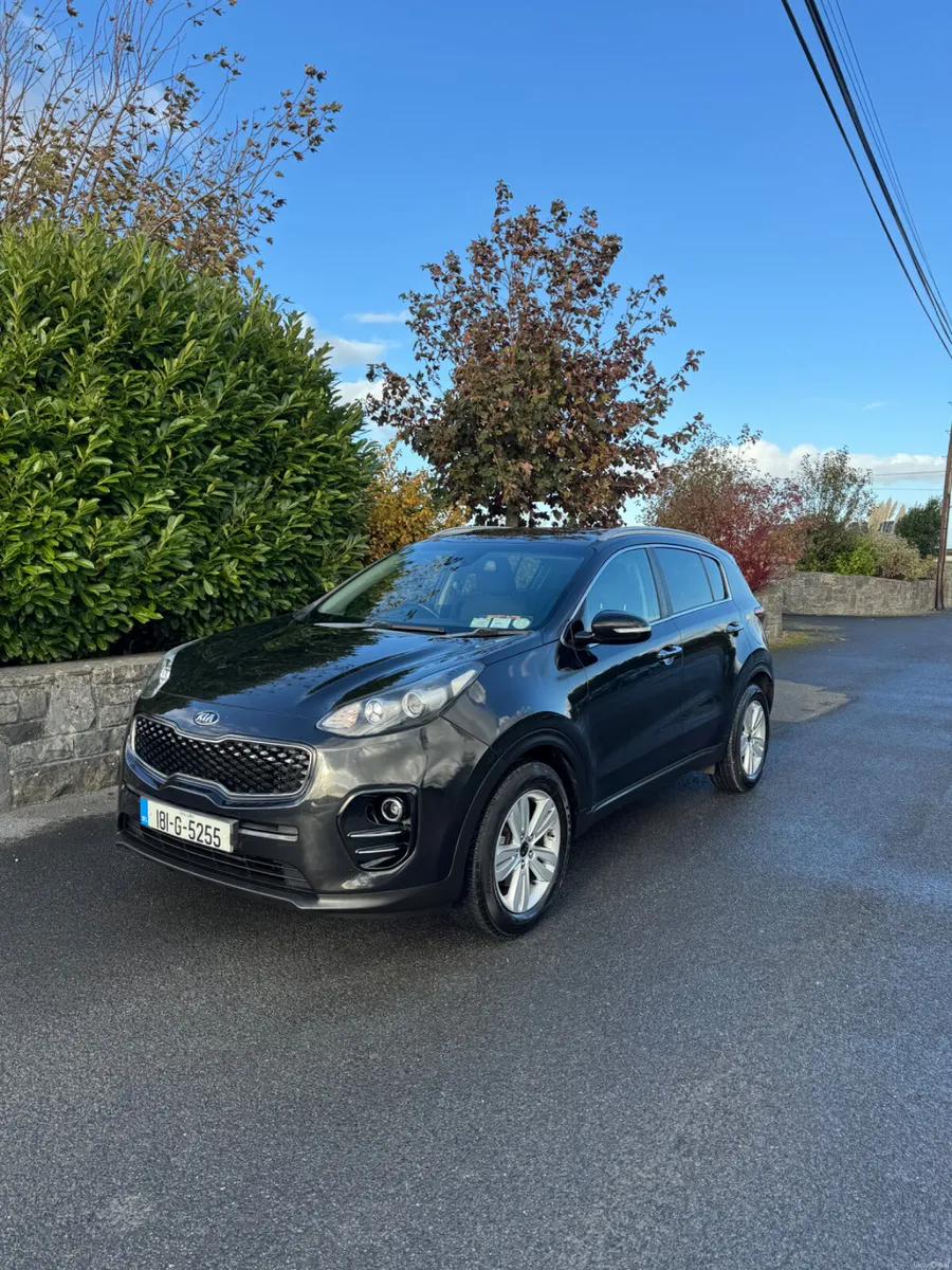 Image 4 of 14