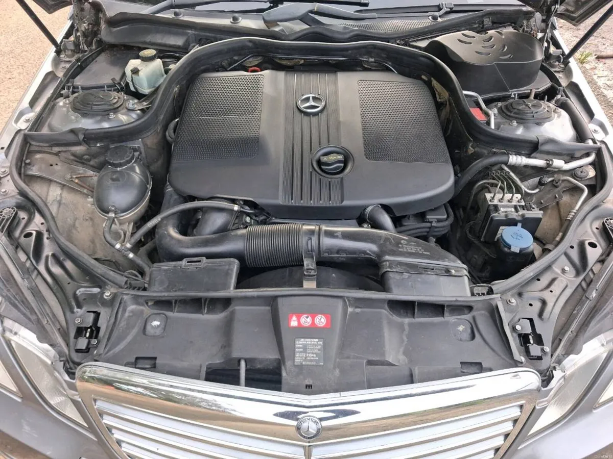 Image 6 of 15