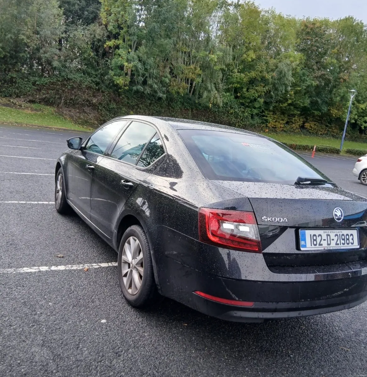Image 3 of 10