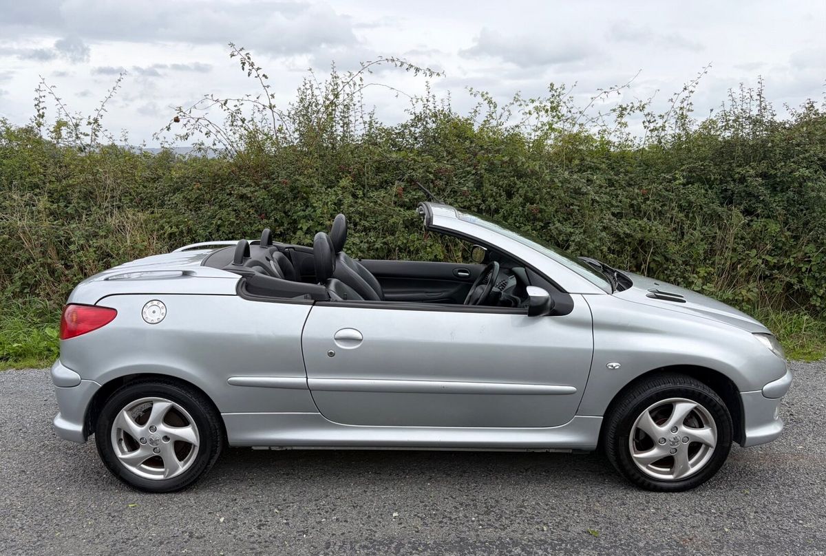 2004 Peugeot 206