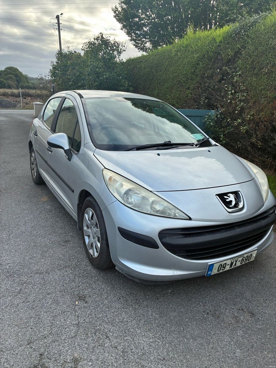 2009 Peugeot 207