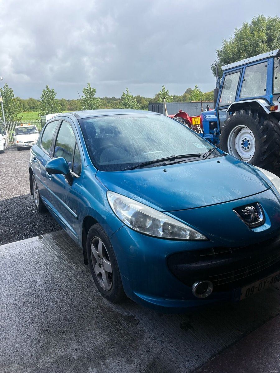 2009 Peugeot 207