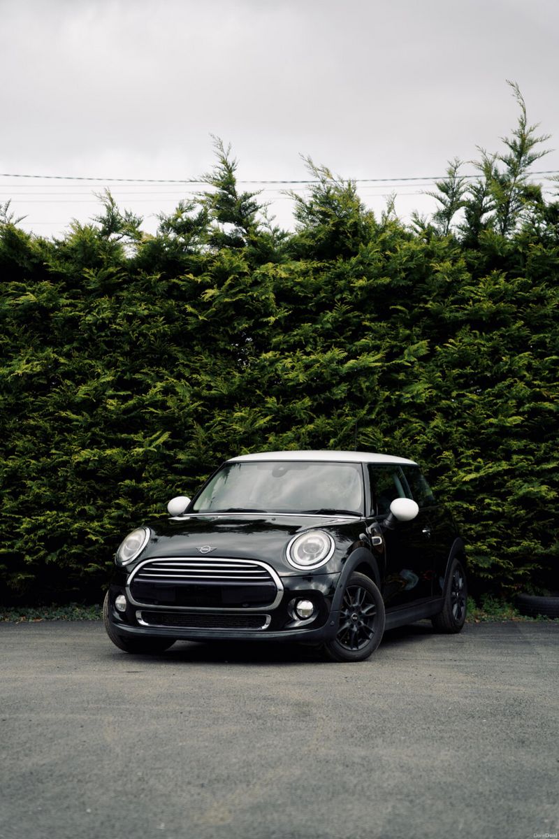2019 Mini Cooper
