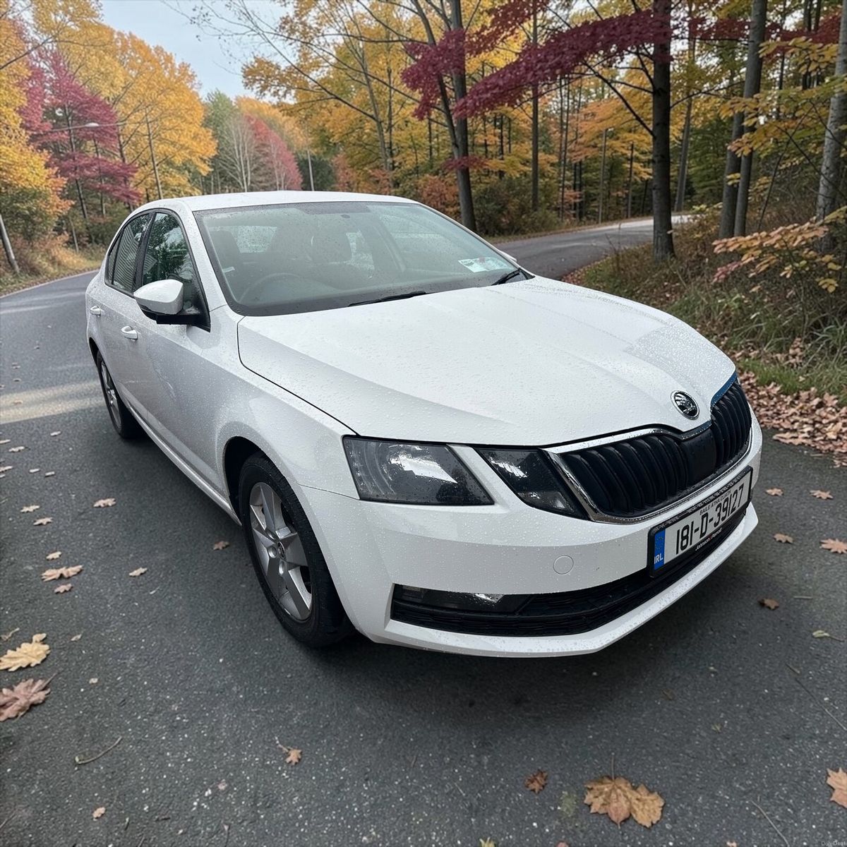 2018 Skoda Octavia
