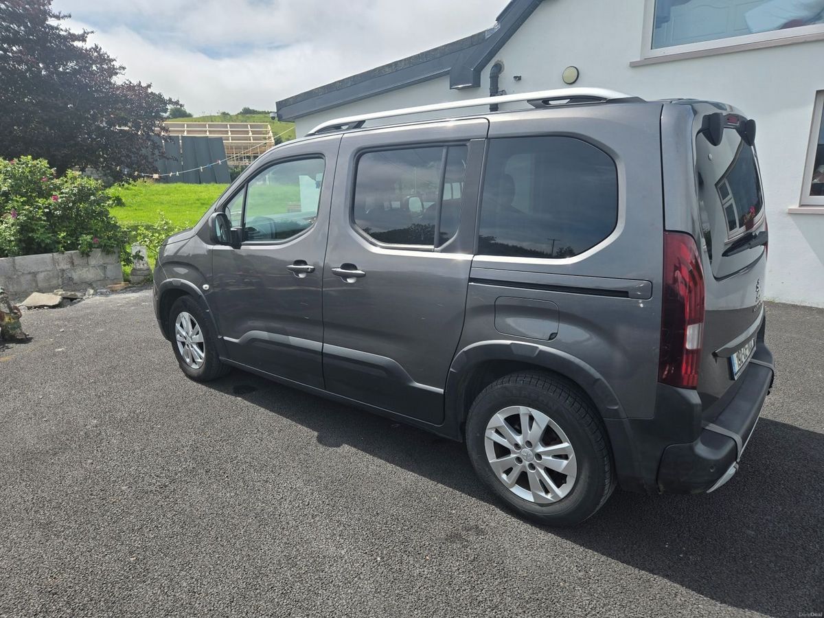 2019 Peugeot Rifter Other