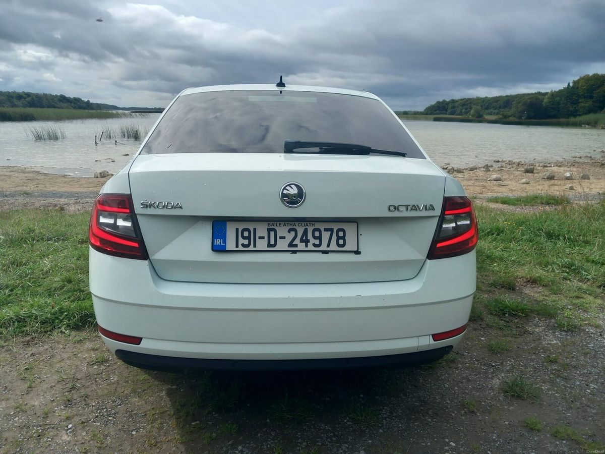 2019 Skoda Octavia