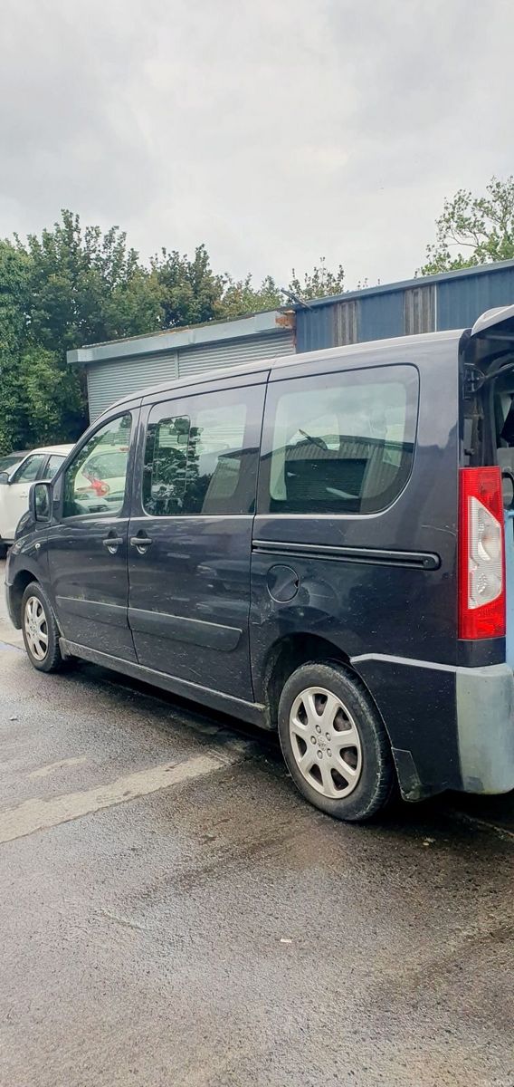 2009 Peugeot Expert