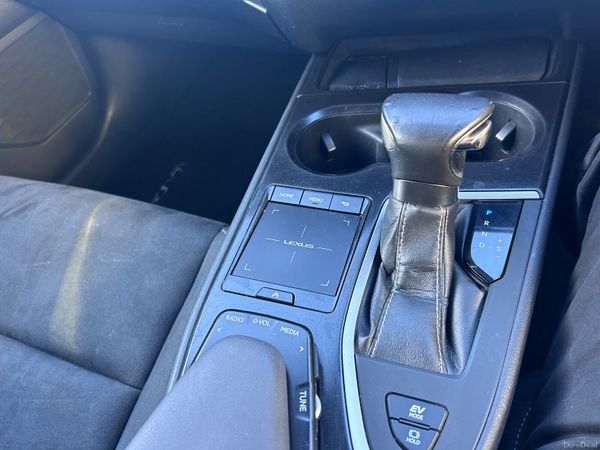 2020 LEXUS UX250h HYBRID DESIGN 377254550