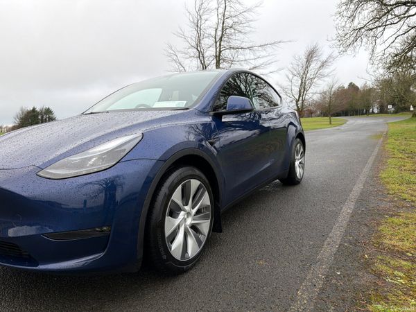 Tesla Model Y 2023 Long Range AWD 377991401