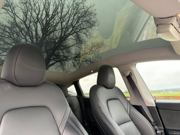 Tesla Model Y 2023 Long Range AWD 377991559