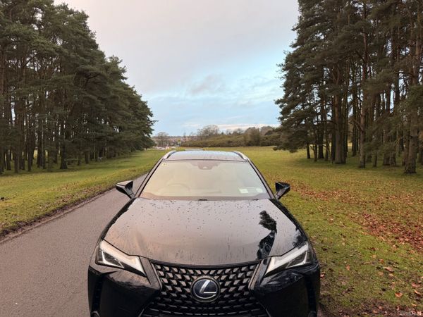 Lexus UX 2021 Luxury 379856945