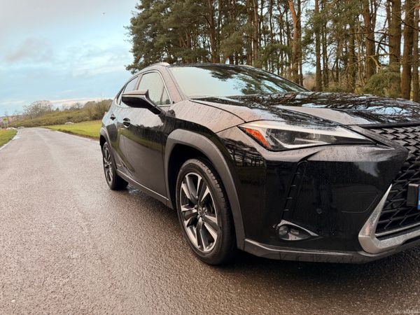 Lexus UX 2021 Luxury 379856947