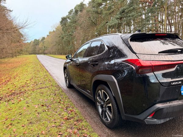 Lexus UX 2021 Luxury 379856955