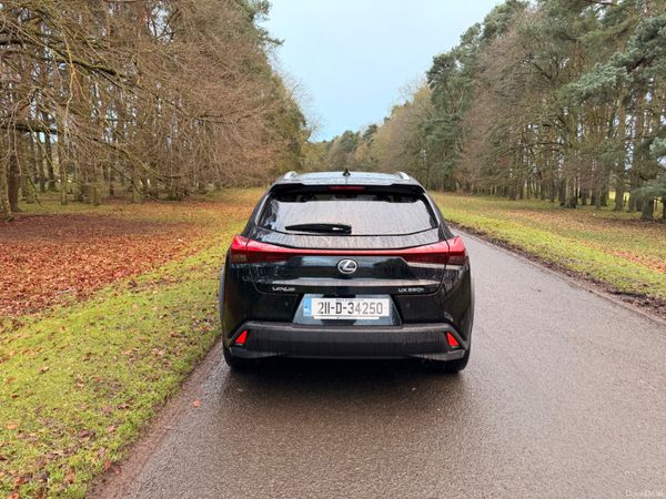 Lexus UX 2021 Luxury 379856911